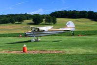 N8103A @ 2D7 - Landing on 28 at the Beach City, Ohio Father's Day fly-in. - by Bob Simmermon