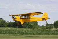 N18999 @ 7V3 - Piper J3C-65 - by Mark Pasqualino