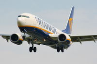 EI-DYM photo, click to enlarge EI-DYM photo, click to enlarge