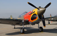 N1195N @ KCNO - Chino Airshow 2009 - by Todd Royer
