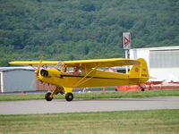 N3617N @ KIPT - This is a beautiful Super Cub! - by Sam Andrews