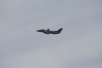 N295UX @ SEA - SEATTLE -PORTLAND - by elguyo18