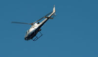 N226LA - LAPD AStar Eurocopter AS350 circling over Venice, a coastal district of Los Angeles. - by Anthony Citrano