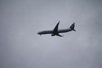N307AS @ SEA - HONOLULU-SEATTLE - by NORTHWESTERN