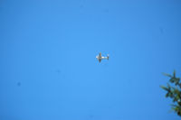 N18137 @ S50 - nothing sneaks by this photographer making round engine noise