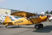 N4300M @ PALH - PALH - by Nick Dean