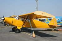 N3622M @ PAMR - PAMR - by Nick Dean