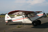N82481 @ PABV - PABV - by Nick Dean