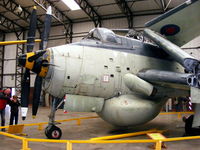 XL502 @ X4EV - The Museum's aircraft, previously at Sandtoft, Lincolnshire, was the last Gannet in service with No 849 Squadron and the last Gannet to display at air shows - by Chris Hall