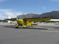 N96371 @ SZP - 1946 Taylorcraft BC-12D Continental A&C65 65 Hp - by Doug Robertson