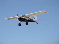 N160BC photo, click to enlarge