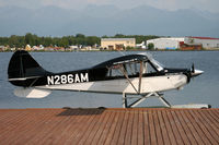 N286AM @ PALH - PALH - by Nick Dean