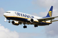 EI-EFI photo, click to enlarge EI-EFI photo, click to enlarge
