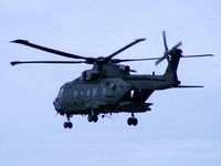 ZJ990 photo, click to enlarge ZJ990 photo, click to enlarge