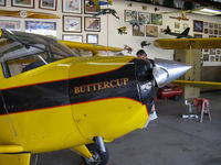 N77874 @ SZP - 1946 Luscombe 8A, Continental C85 85 Hp, 'Buttercup' - by Doug Robertson