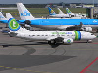 PH-HZN @ EHAM - Transavia going onto stand