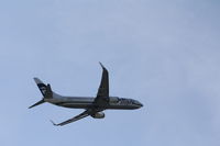 N556AS @ SEA - SEATTLE-HOUSTON