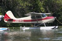 N1183H photo, click to enlarge