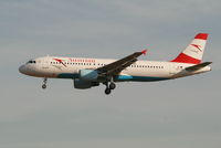 OE-LBR @ EBBR - arrival of flight OS351 to rwy 25L