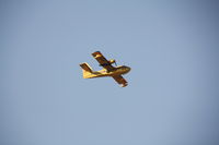 C-FTXB - turkey - by bob