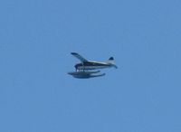 N110AW @ NONE - An Island Seaplane Service DHC-2 Beaver flying over Waikiki, HI. - by Kreg Anderson
