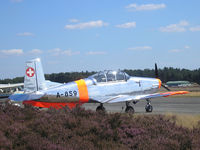 HB-RCB @ EBZR - Fly In Malle Airport , 22 Aug 2009 - by Henk Geerlings