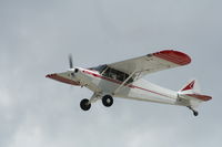 N8057C @ KOSH - Piper PA-18 - by Mark Pasqualino