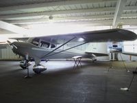 N33951 @ KOSH - Taylorcraft BC-12-65 - by Mark Pasqualino