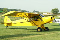 N4431Z @ 40I - PA-18-150 - by Allen M. Schultheiss