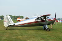 N1346B @ 40I - 1948 Luscombe 8E - by Allen M. Schultheiss