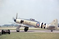 TF956 @ WTN - Royal Navy Historic Flight's Sea Fury at the 1979 Waddington Airshow. - by Peter Nicholson