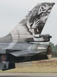 FA-87 @ EBBL - Tigermeet 2009.Special colors 31 Squadron. - by Robert Roggeman