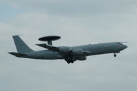 ZH106 photo, click to enlarge