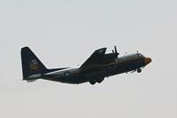 149806 - Blue Angles in Toronto International Airshow