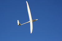 C-GFQM - Egret finishes the task - by Victor  Gerreiro