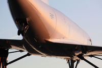 F-BVFF @ LFPG - golden aircraft - by V.FERNANDES (Aviapassion)