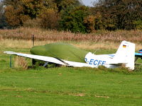 D-ECFE photo, click to enlarge