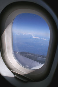 OE-LEX photo, click to enlarge OE-LEX photo, click to enlarge