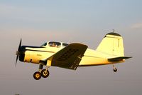 N65296 @ IA27 - At the Antique Airplane Association Fly In.  Setting sun