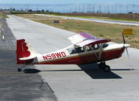 N59WD @ PAO - 2007 American Champion Aircraft 7GCBC taxiing for take-off and short flight to KSQL to shoot touch-and-goes - by Steve Nation