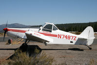 N7487Z @ KTRK - KTRK - by Nick Dean
