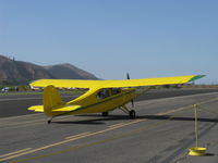 N83247 @ SZP - 1946 Aeronca 7AC CHAMPION, Continental A&C65 65 Hp, taxi - by Doug Robertson