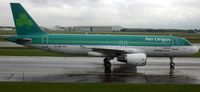 EI-DEK @ EHAM - A Wet Schipol