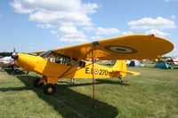 N9967Q @ KOSH - Piper PA-18-135 - by Mark Pasqualino