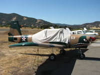 N1901A @ 1O2 - Home-based 1977 Varga Aircraft Corp 2180 wanting to be a Vietnam-era warbird complete with sharkmouth - by Steve Nation