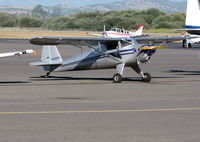 N45886 @ KAPC - Locally-based 1946 Luscombe 8A on visitors ramp - by Steve Nation