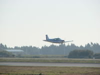 CS-AUM @ LPPR - Beechcraft Bonanza F33A of nortavia, Low pass