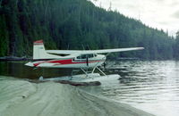 C-FWMS - On a beach on the west coast of Vancouver Island - by David Tanchak