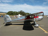 N2906N @ VCB - 1947 Cessna 120 @ Gathering of Mustangs event - by Steve Nation