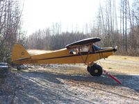 N135WK - A grass strip in Talkeetna - by Christopher Maize